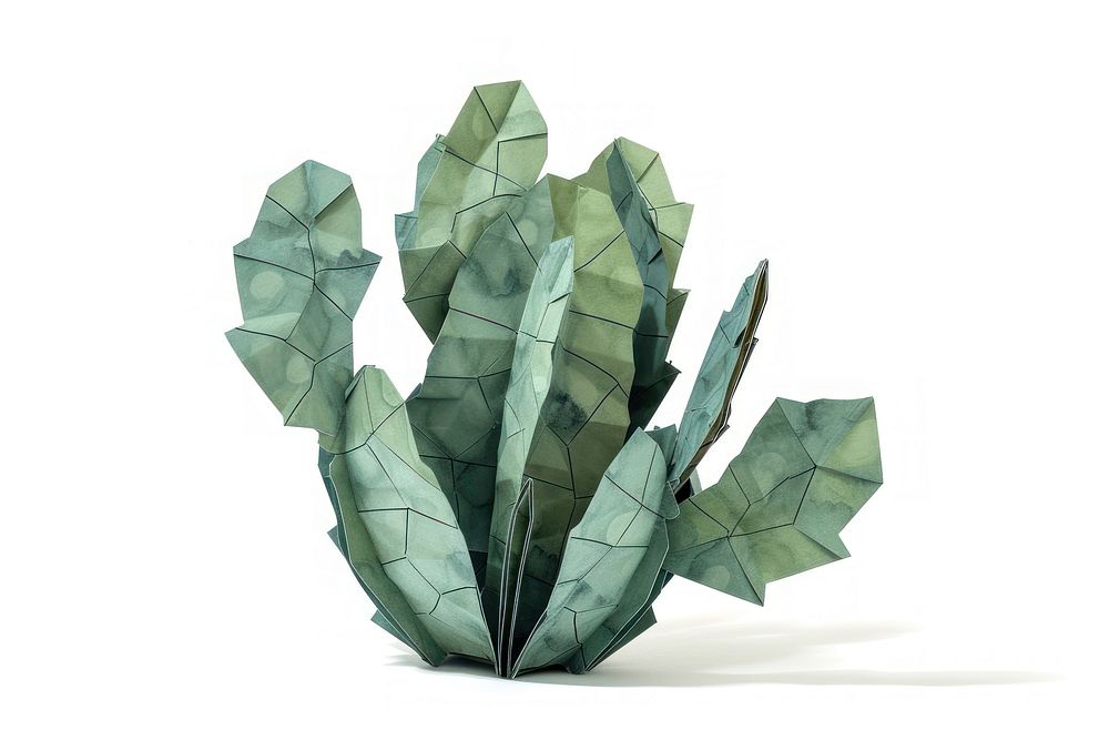Castus origami plant paper.