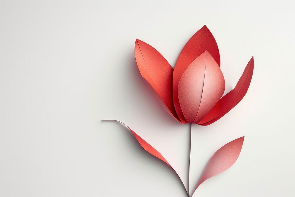 Tulip origami flower petal.