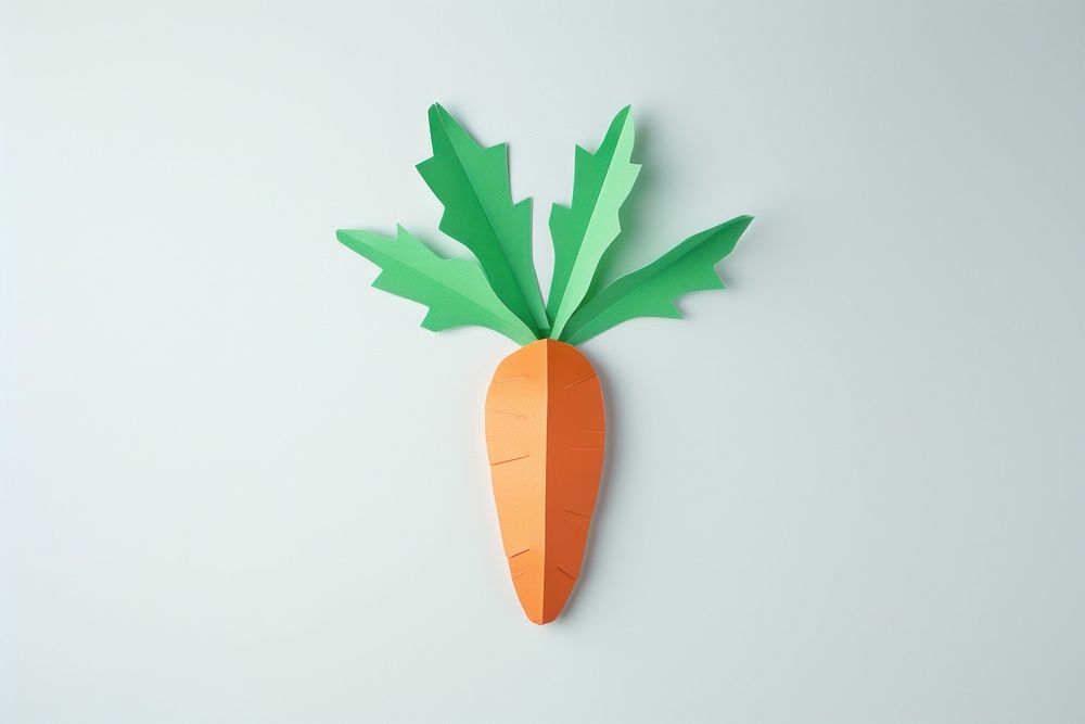 Vegetable carrot plant food.