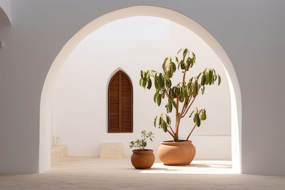 Mediterranean home style architecture window plant.