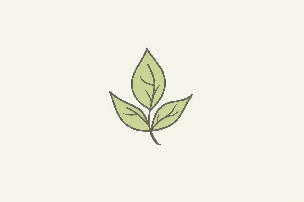 Green tea icon plant leaf drawing.