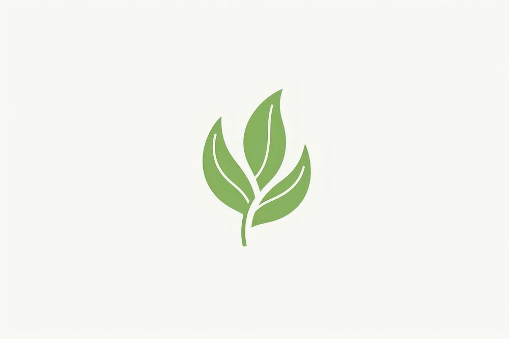 Green tea icon plant leaf logo.