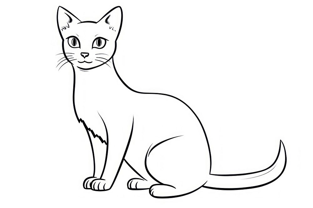 Siamese cat animal mammal sketch.