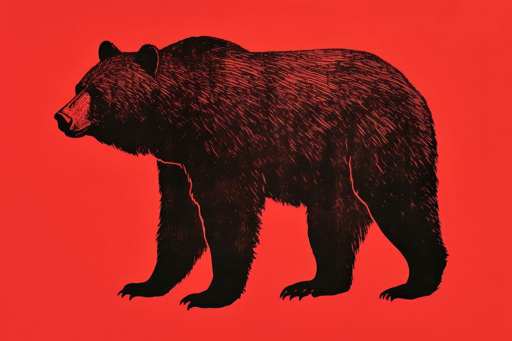 Bear silkscreen wildlife mammal animal.