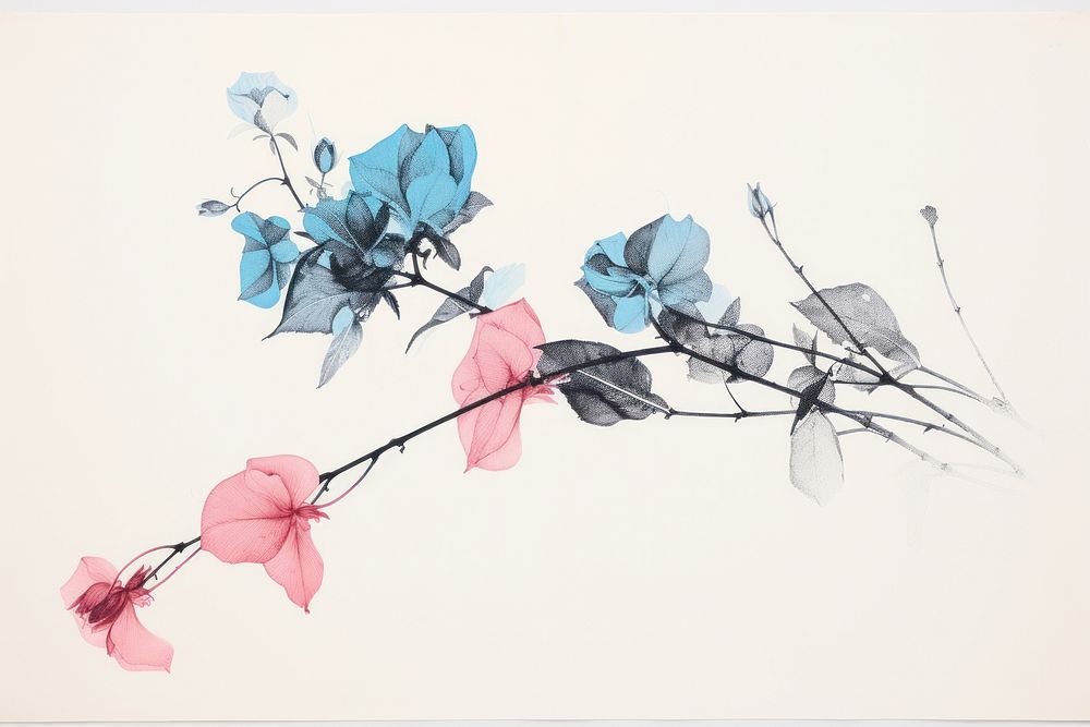 Silkscreen on paper of a Dry flowers graphics blossom drawing.