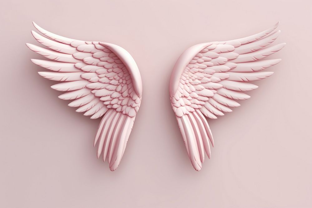 Angel wings archangel softness feather.