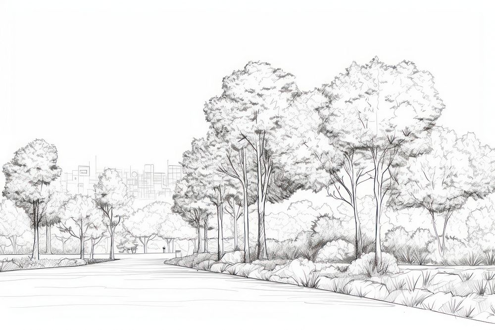 Tree park sketch drawing line.