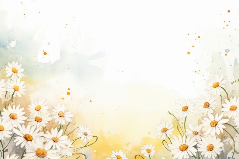 Daisy petals border background backgrounds outdoors painting.
