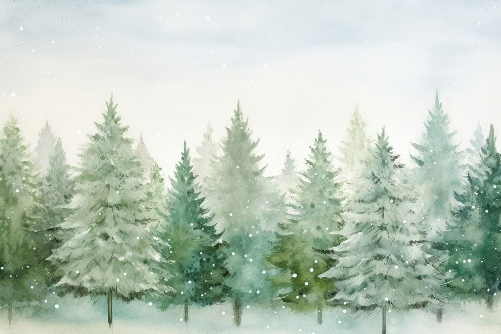Christmas trees border background snow backgrounds outdoors.