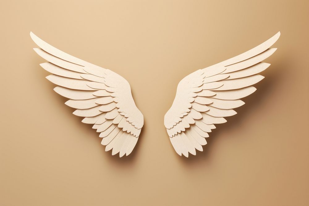 2d angel wings symbol creativity appliance pattern.