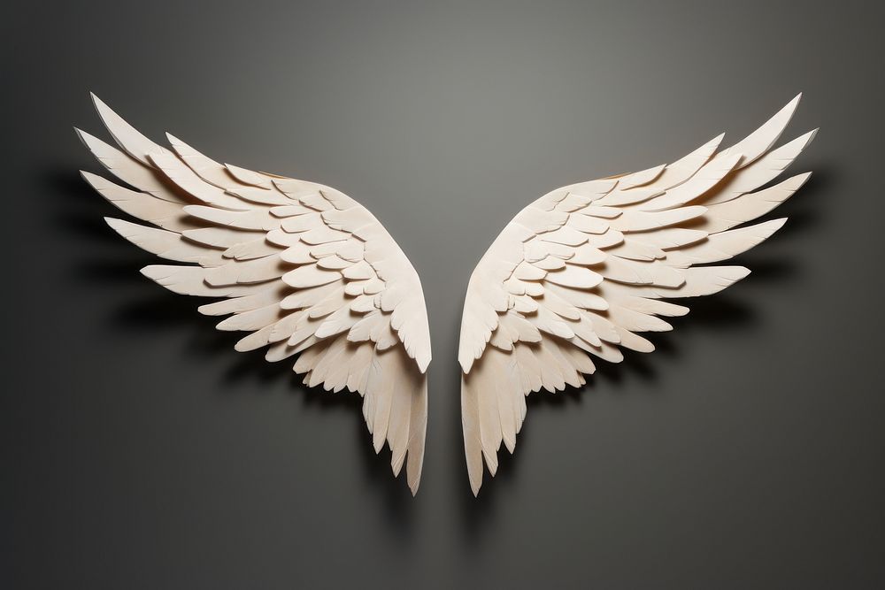 2d angel wings symbol creativity | Premium Photo - rawpixel