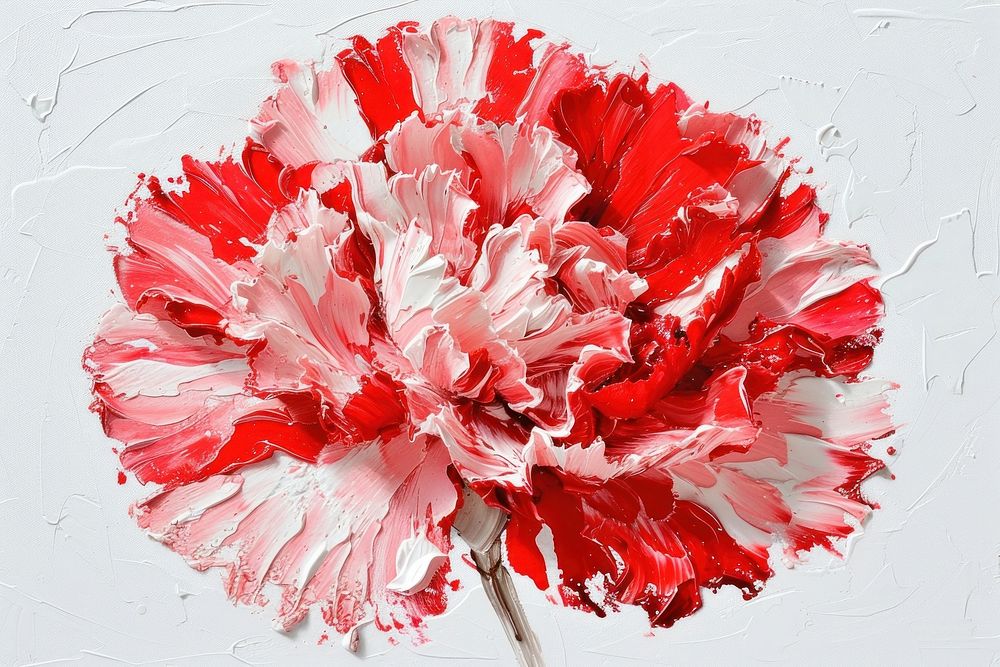 Carnation flower painting plant inflorescence.