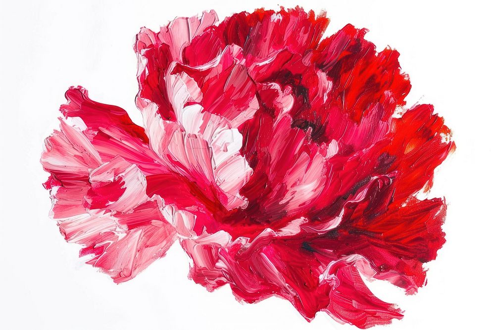 Carnation flower painting drawing plant.
