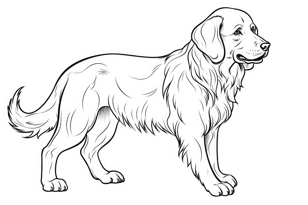 Alaskun dog sketch drawing animal.