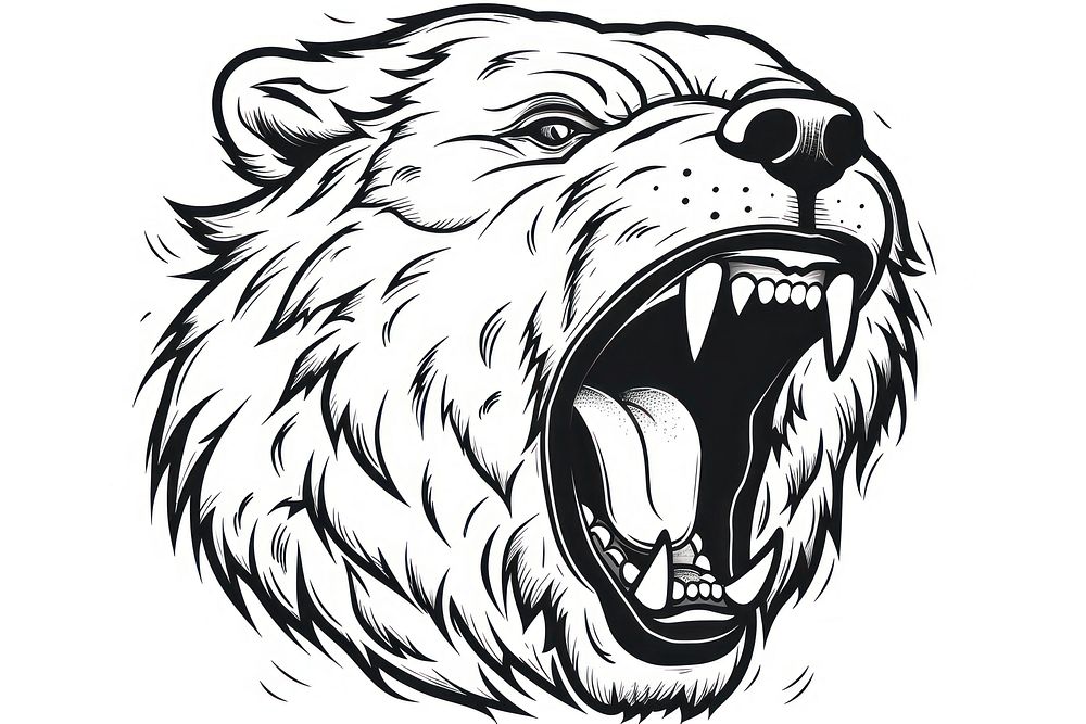 Bear roar sketch drawing mammal.