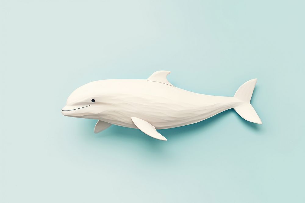 Beruga whale dolphin animal mammal.