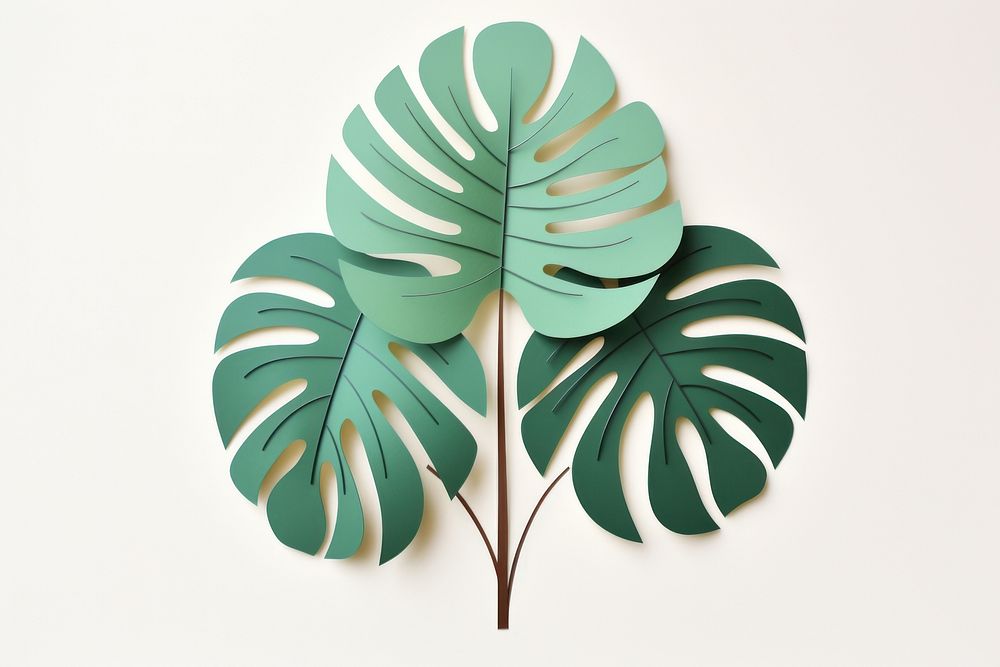 Monstera plant leaf art pattern.
