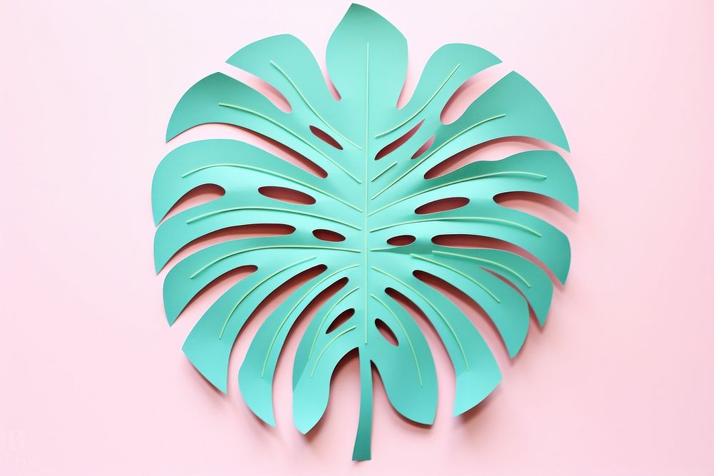 Monstera plant art leaf accessories.