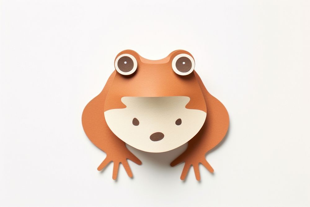 Toad amphibian animal nature.