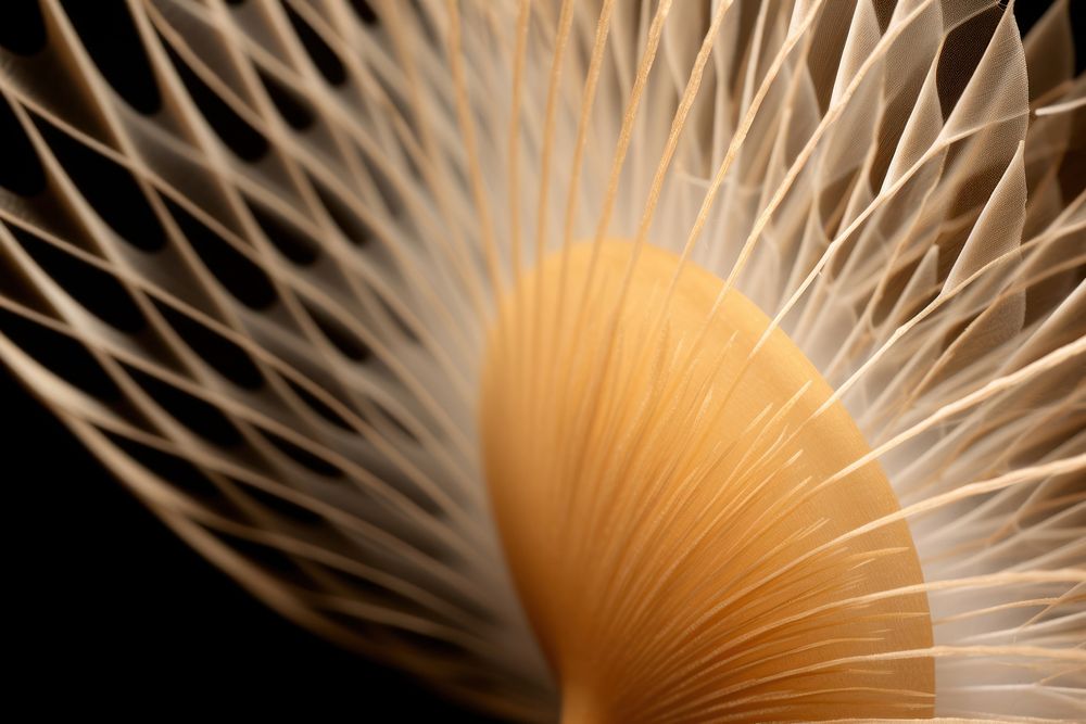 Close-up of a badminton shuttlecock macro photography invertebrate fragility.