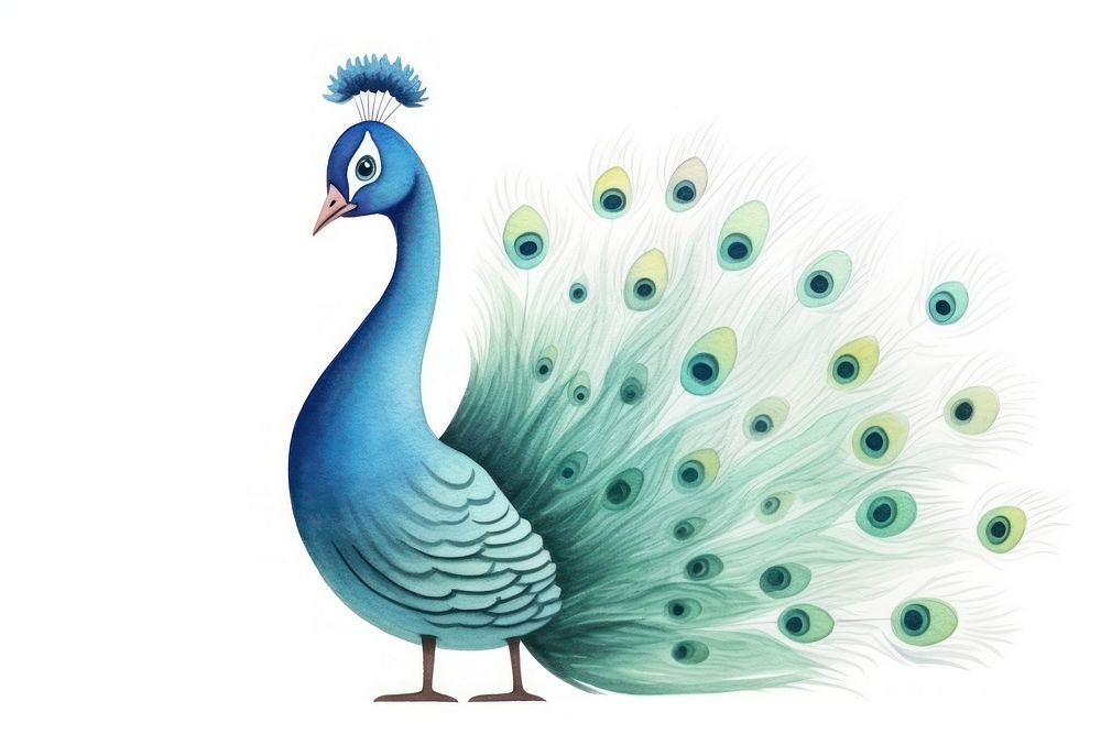 Cute watercolor illustration of a peacock animal bird white background.