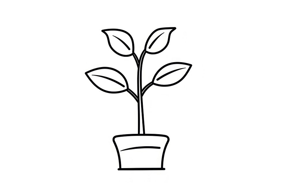 Plant drawing sketch line.