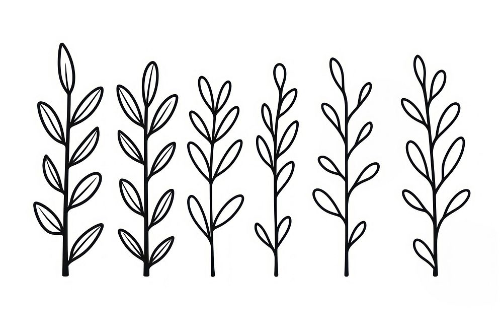 Plant pattern drawing sketch.