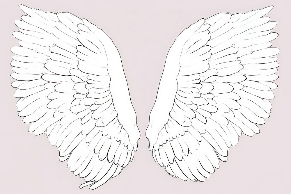 Angel wings cartoon drawing line.