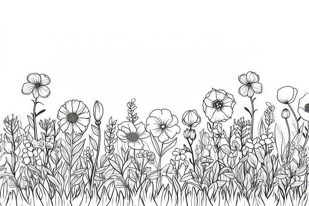 Flower border sketch backgrounds drawing.