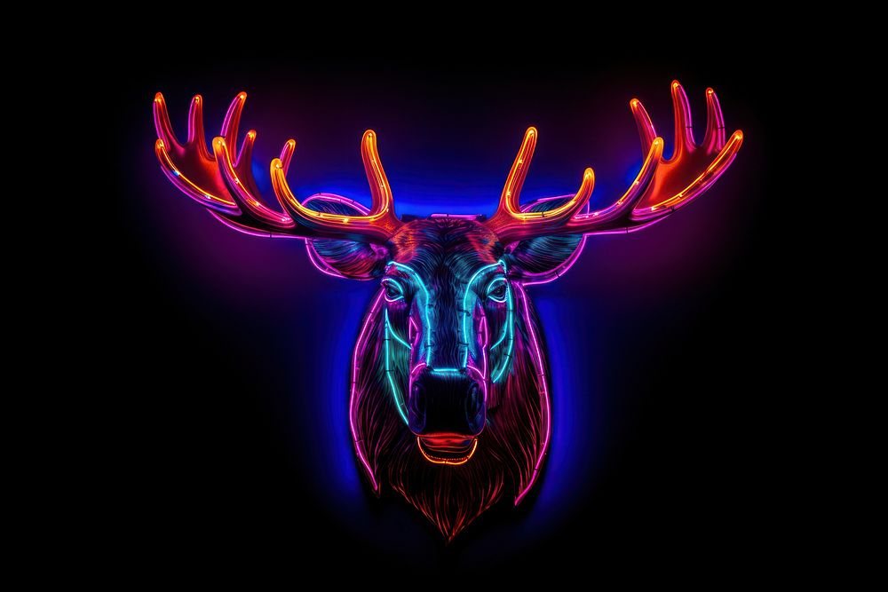 Moose light neon wildlife.