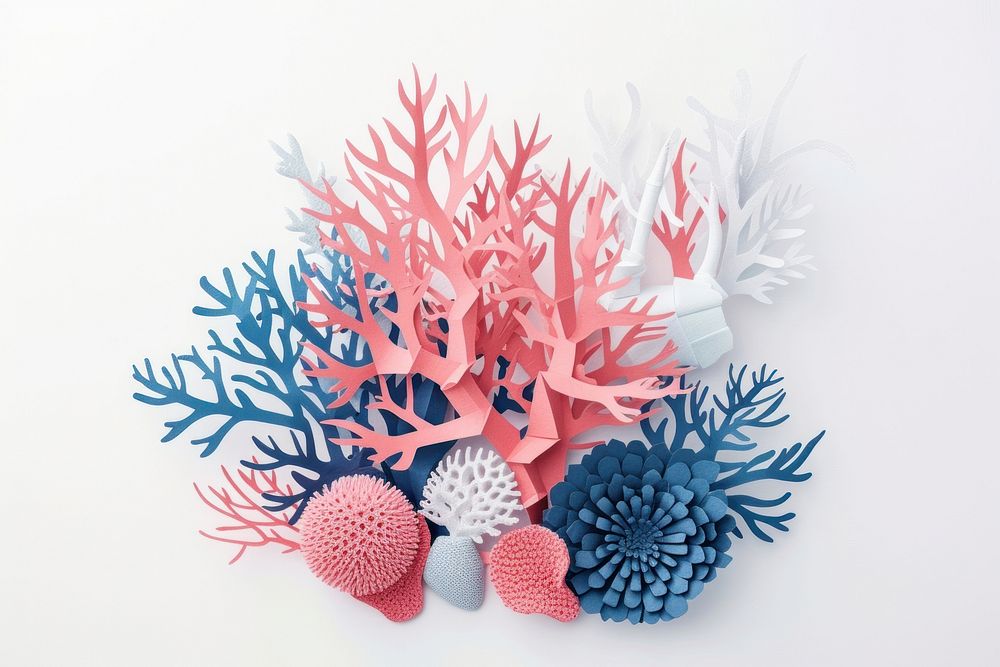 Coral nature art white background.