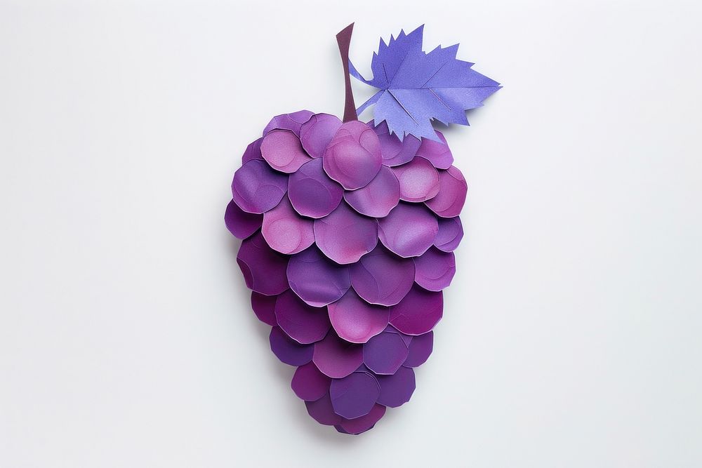 Grape grapes plant fruit.