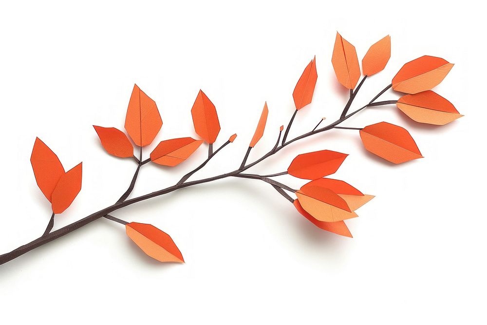 Orange leave branch plant leaf white background.