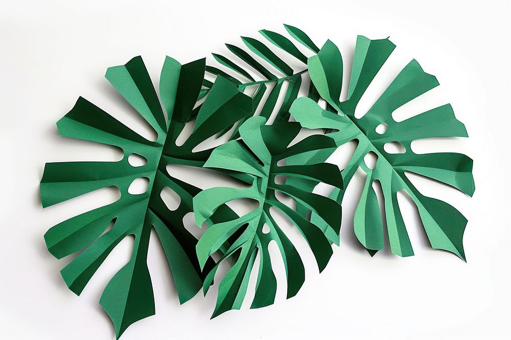 Monstera plant paper leaf.