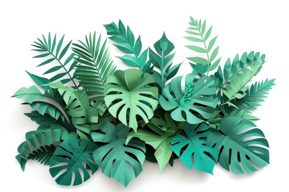 Monstera backgrounds plant leaf.