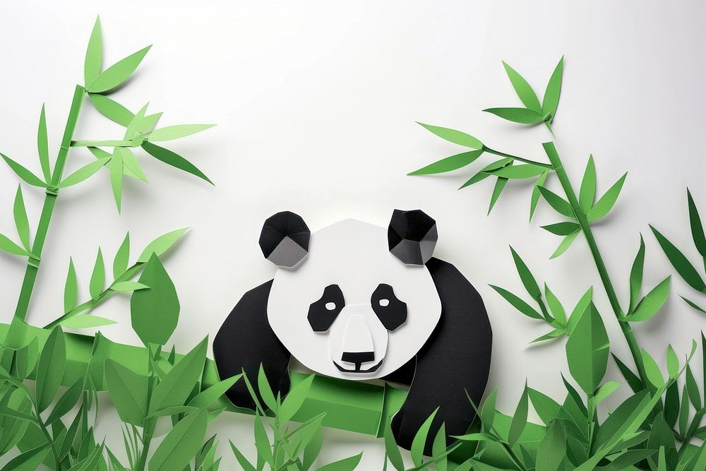 Panda and bamboo wildlife animal mammal.