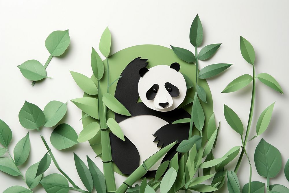 Panda and bamboo mammal plant bear.