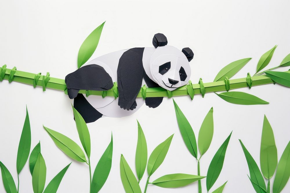 Panda hang on a bamboo wildlife mammal nature.