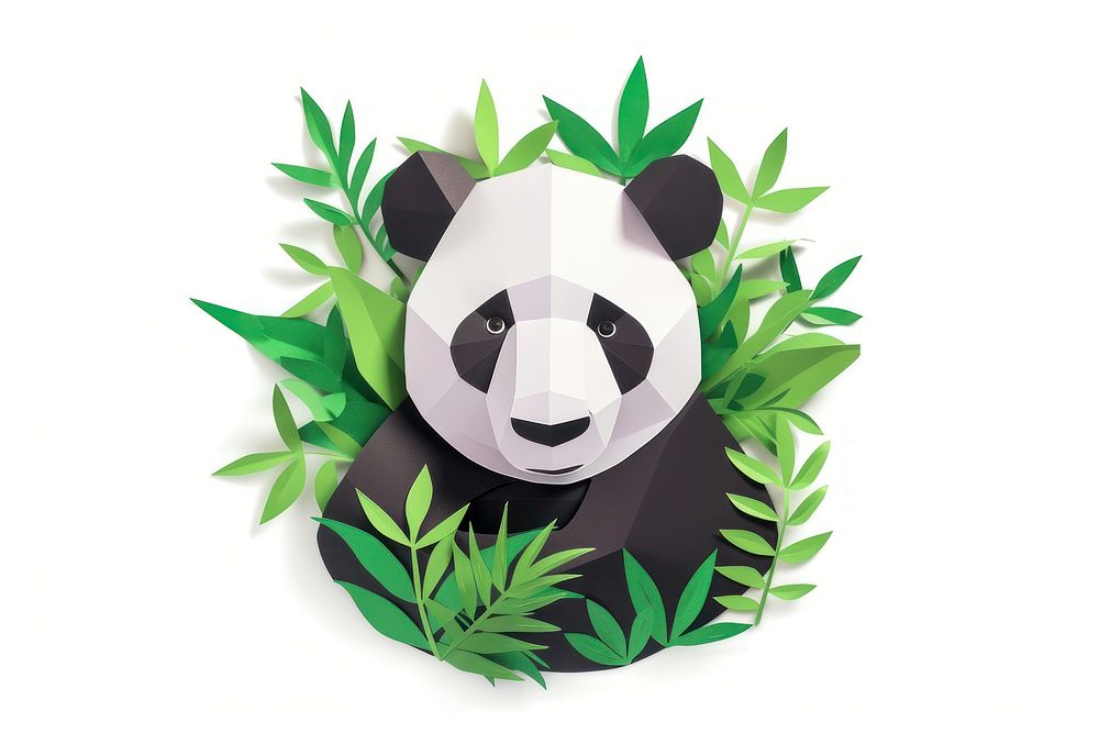 Panda wildlife mammal plant.