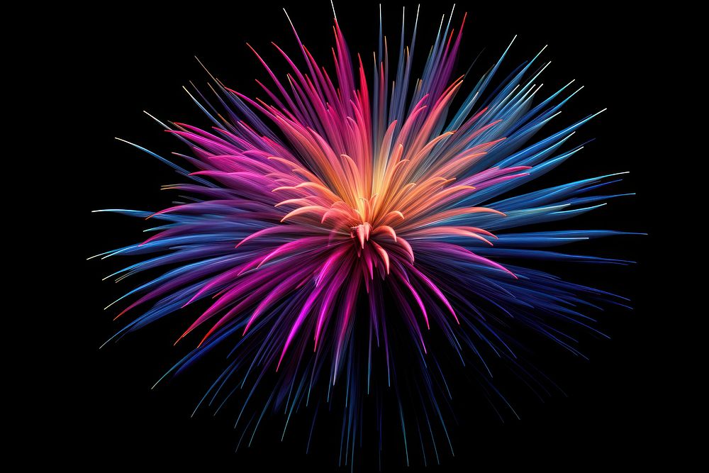 Fireworks colorful flower shape illuminated celebration creativity.