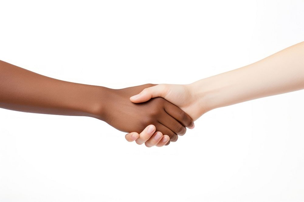 Holding hands handshake adult white background.