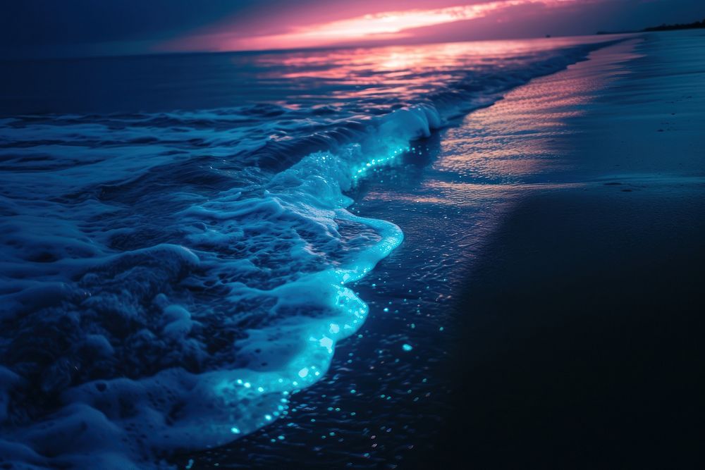 Bioluminescence ocean outdoors horizon nature.