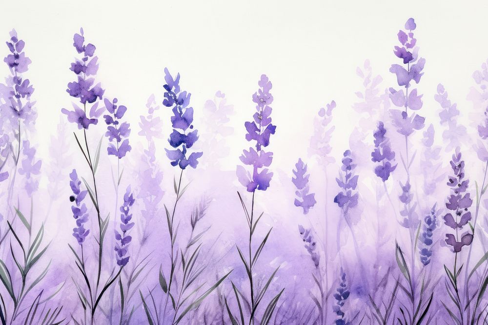 Lavender flowers aesthetic background backgrounds blossom nature.