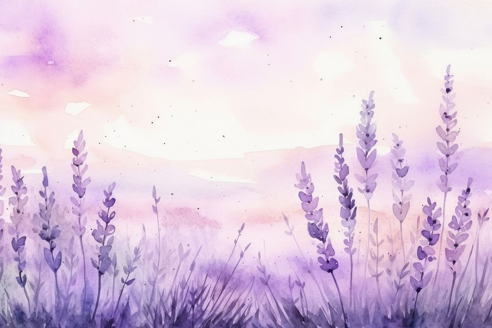 Lavender flowers aesthetic background backgrounds outdoors nature.