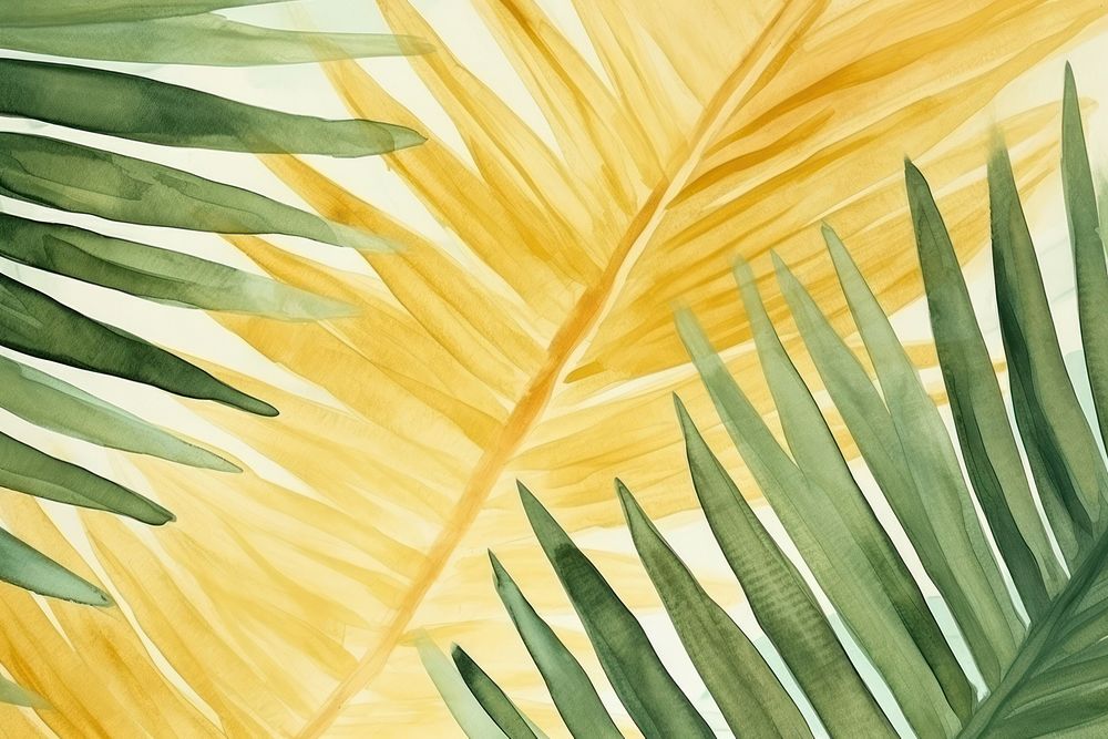 Palm leaf backgrounds abstract nature.