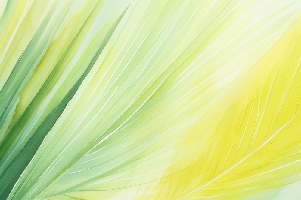 Palm leaf backgrounds abstract plant.