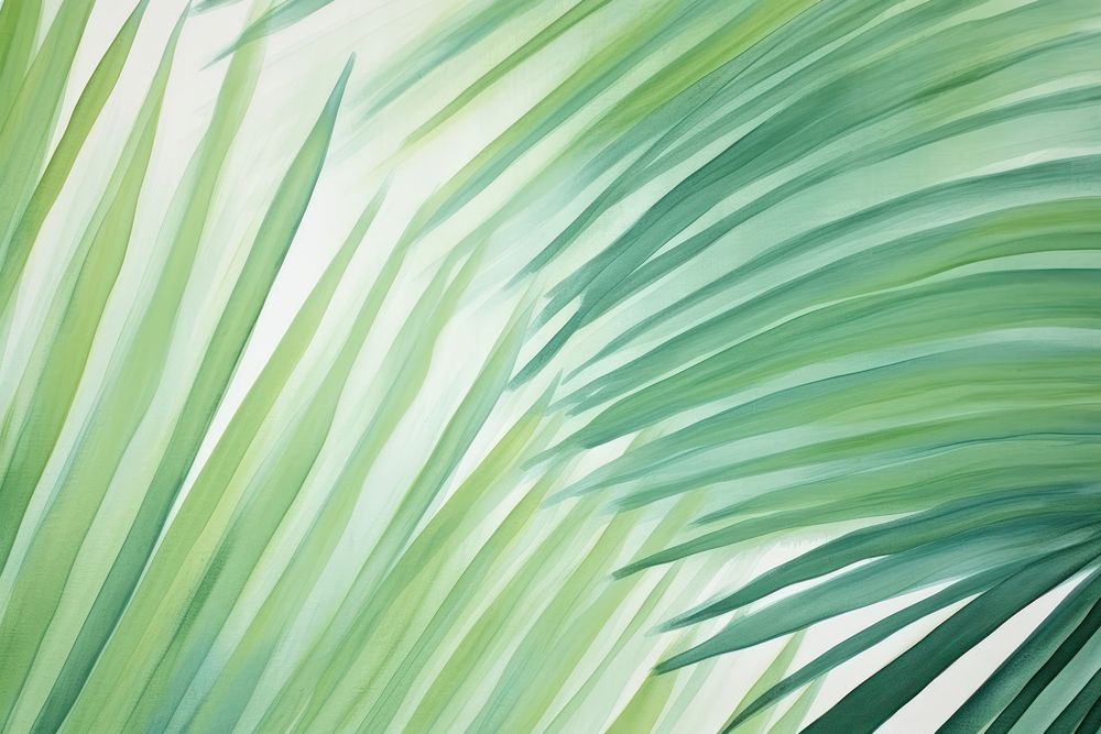 Palm leaf backgrounds abstract outdoors.