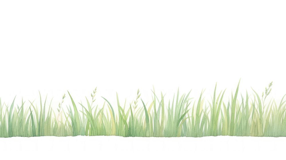 Grass divider watercolour illustration outdoors nature plant.
