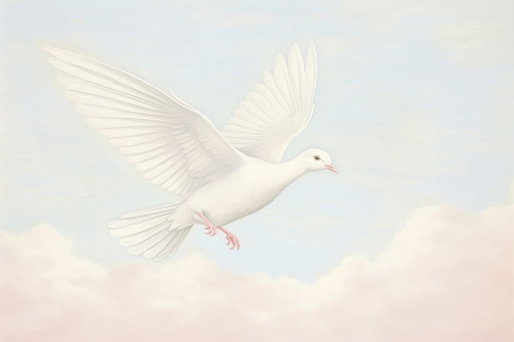 Painting of a white dove bird animal wildlife outdoors.