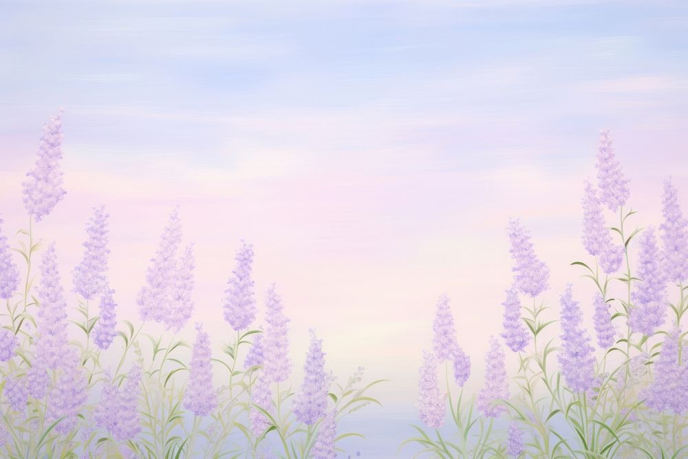 Lavender bush border backgrounds landscape outdoors.
